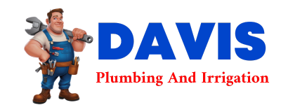 Trusted plumber in UNITY